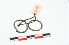 Foto von Bronzering (NHMW-PRAE-026266)